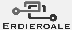 ERDIROALE Deeptech Consulting
